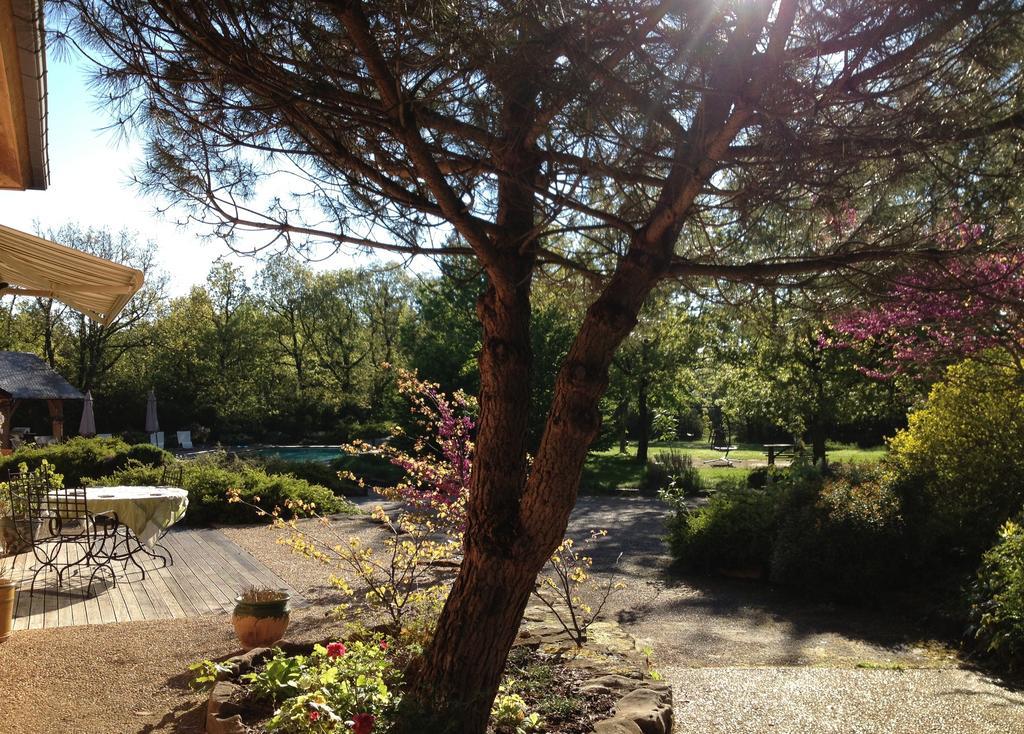 La Villa Des Pins Verrieres  Chambre photo