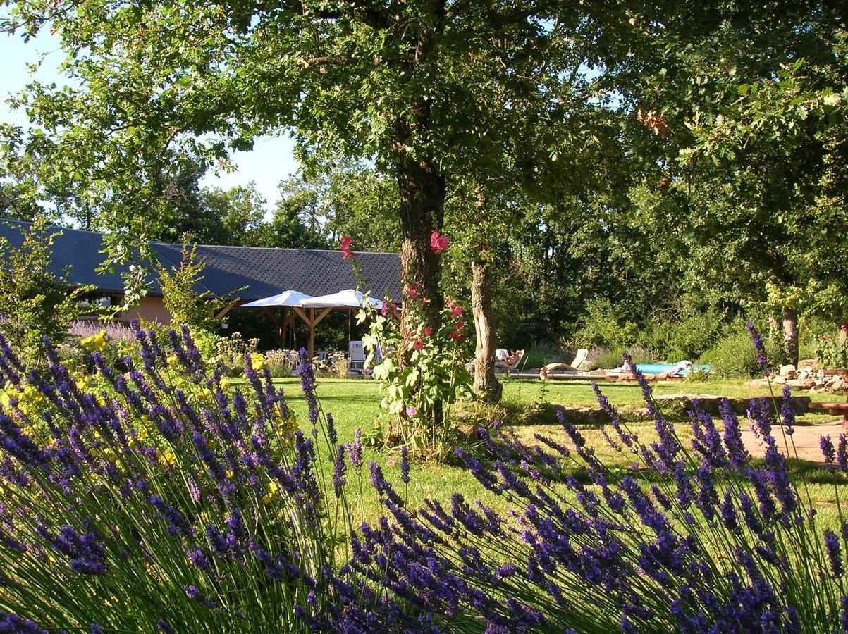 La Villa Des Pins Verrieres  Extérieur photo